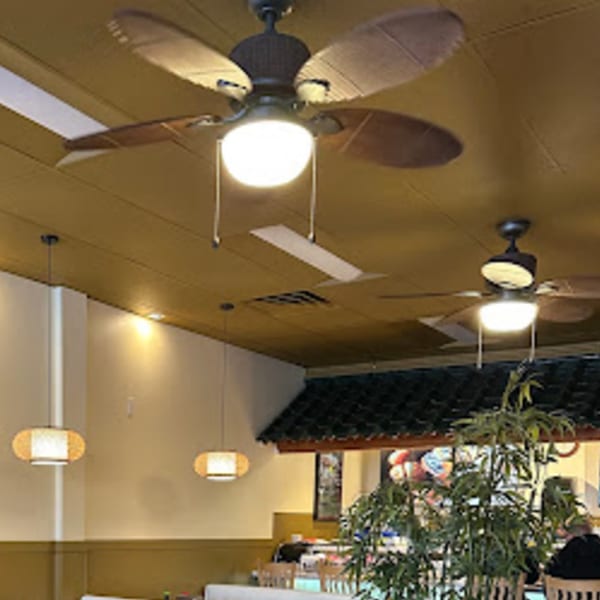 The interior of Tokyo Garden restaurant features ceiling fans, hanging lights, and a decorative bamboo plant.
