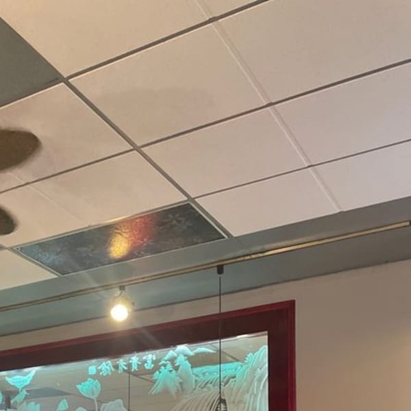 A drop ceiling with a decorative light panel and a red-framed artwork with white designs.