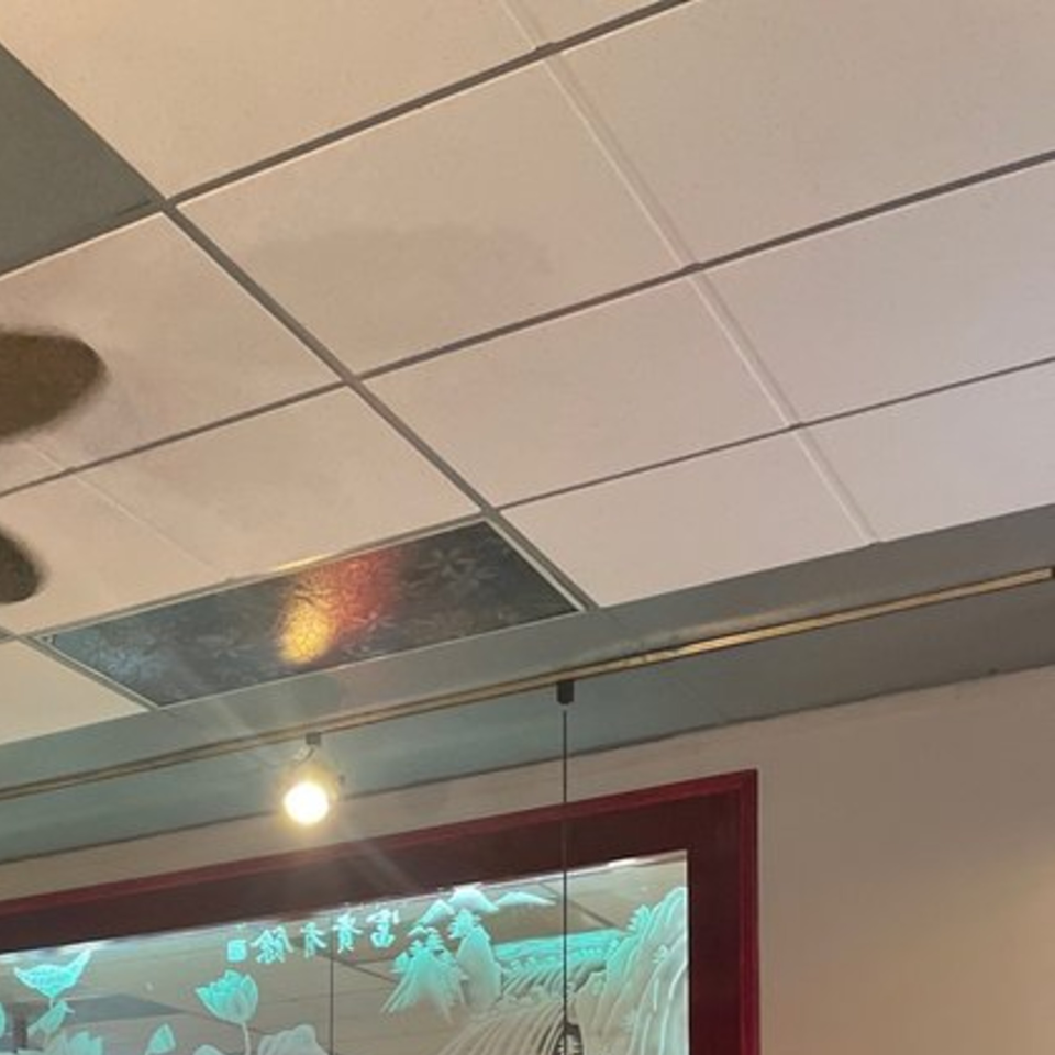 A drop ceiling with a decorative light panel and a red-framed artwork with white designs.